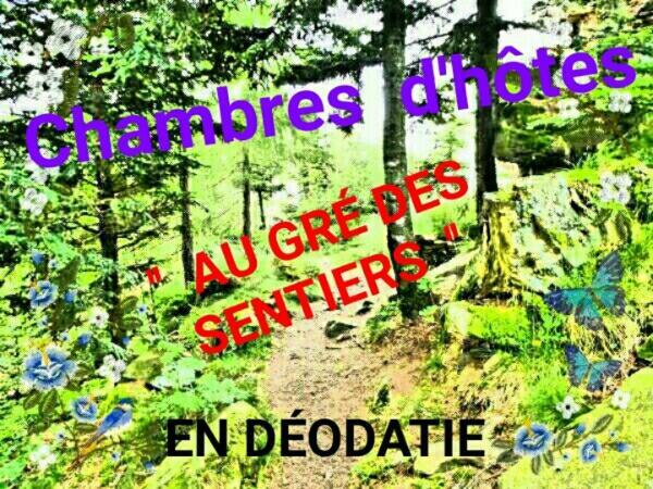 Bed and Breakfast Au Gre Des Sentiers Chez Marie Et Pierre Saint-Die-des-Vosges Экстерьер фото